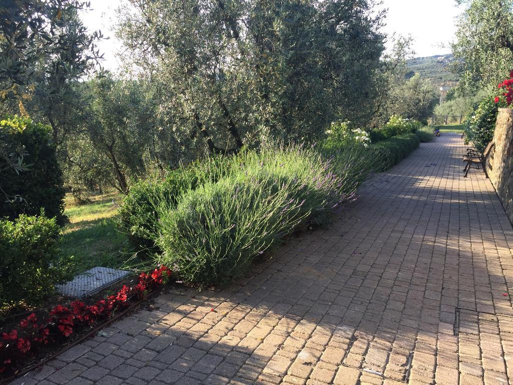 וינצ'י Podere Jana Antico Frantoio מראה חיצוני תמונה